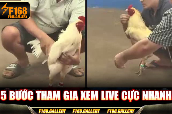 5 bước tham gia xem live cực nhanh 5 bước tham gia xem live cực nhanh