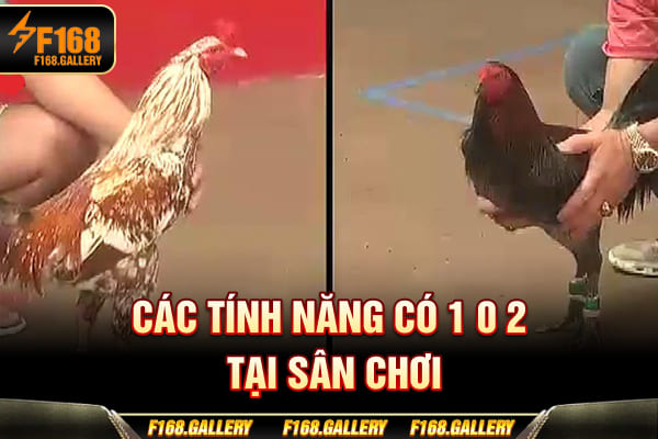 Các tính năng có 1 0 2 tại sân chơi Các tính năng có 1 0 2 tại sân chơi