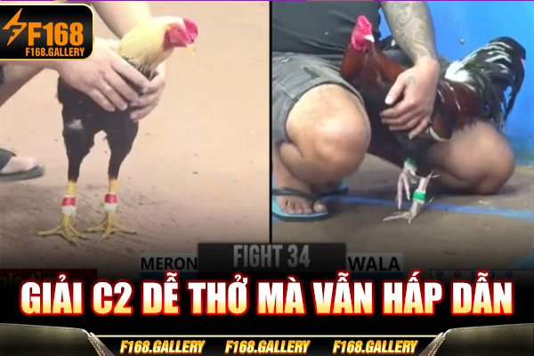 Giải C2 dễ thở mà vẫn hấp dẫn Giải C2 dễ thở mà vẫn hấp dẫn