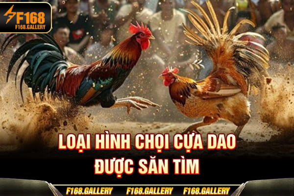 Loại hình chọi cựa dao được săn tìm Loại hình chọi cựa dao được săn tìm