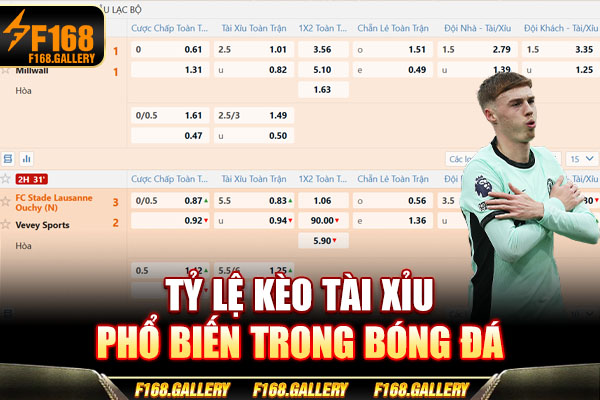 Tỷ lệ kèo tài xỉu phổ biến trong bóng đá Tỷ lệ kèo tài xỉu phổ biến trong bóng đá